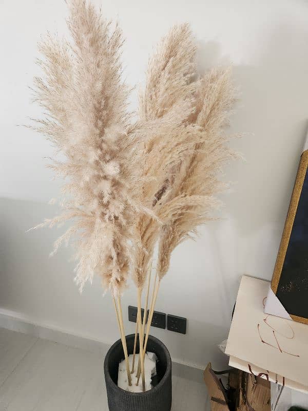 Decoration pieces 17