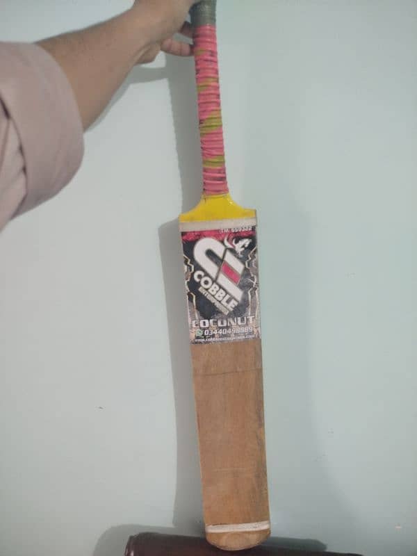 Professional Bat 1