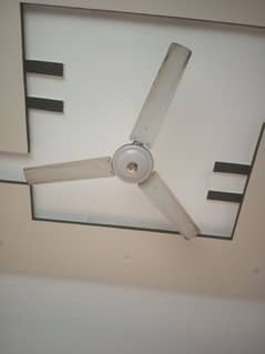 fans for sale 5