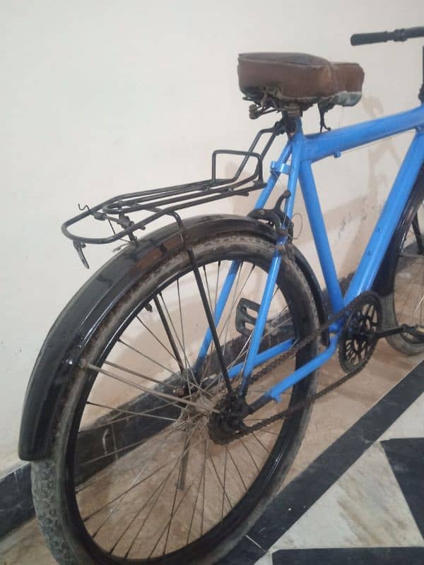 Cycle Urgent for sale watsapp 03065312589 1