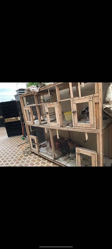 5 cabin wooden cage for birds or hens. 3