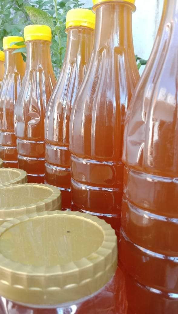 "Pure Organic Honey for Sale - Fresh, Natural & Healthy/Ber Honey 1