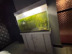 Aquarium For sale (Organic) Planted