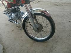 Grace motorcyl lush kndeshan