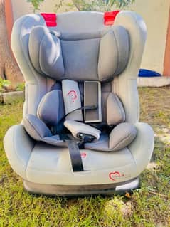 Tinnies Baby Car seat