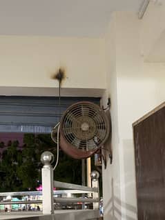 Blour fan for Restaurants