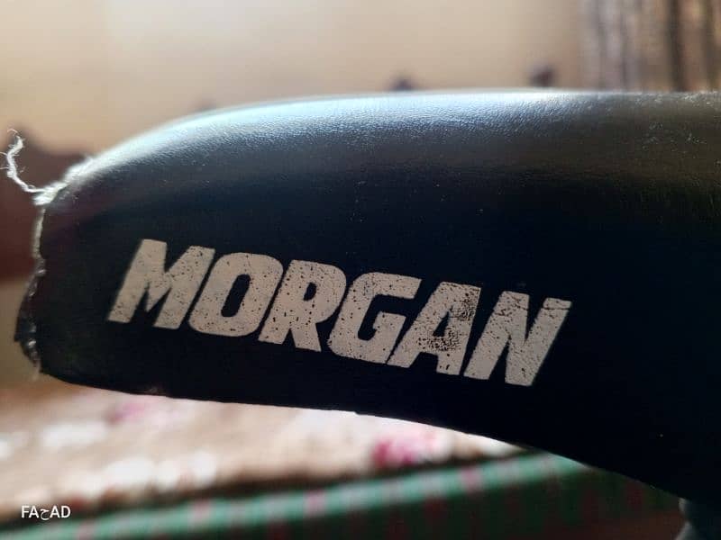 Morgan Bicycle 3