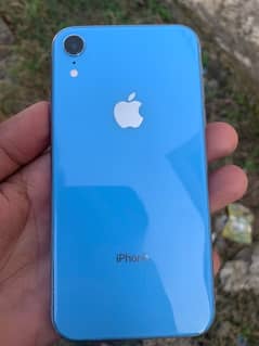 iPhone XR