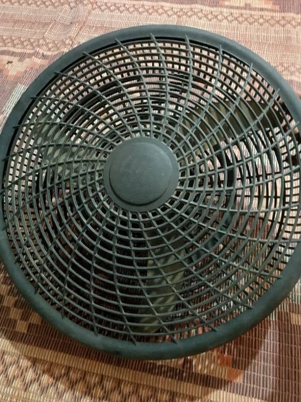 new fan 3