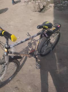 18 number Phoenix Bicycle urgent for sale