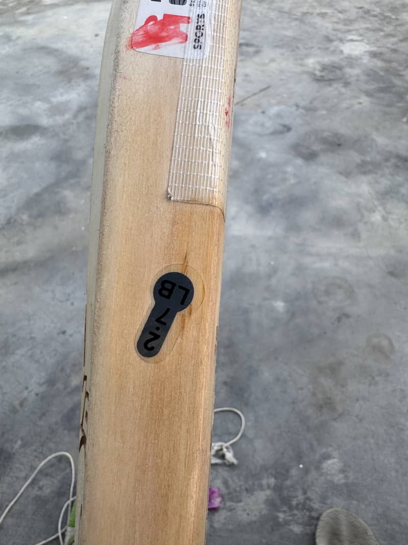 CA Pro lagend World class Edition bat. 4