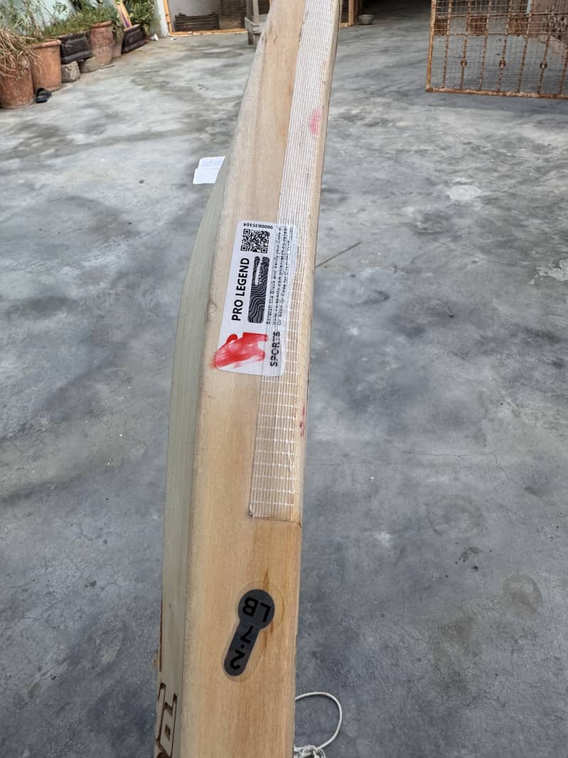 CA Pro lagend World class Edition bat. 6