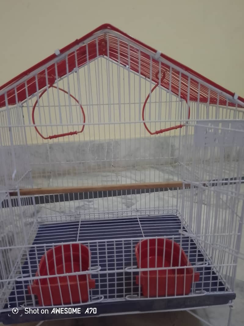 Bird cage 0