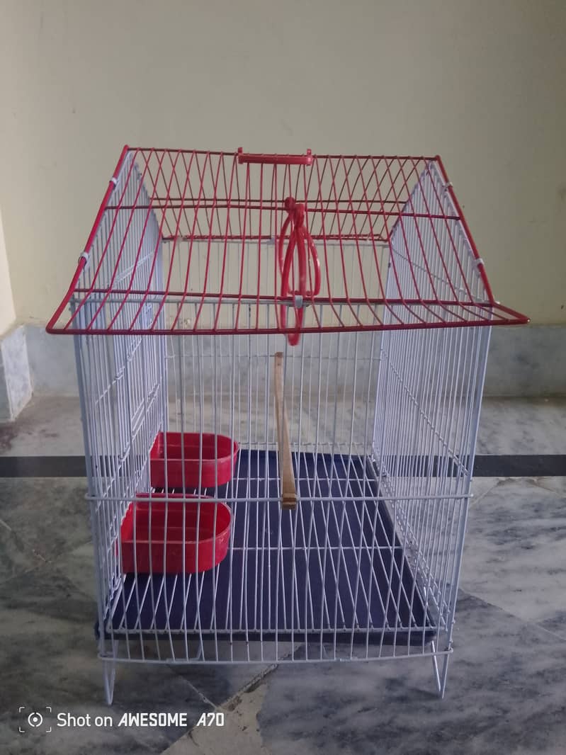 Bird cage 1