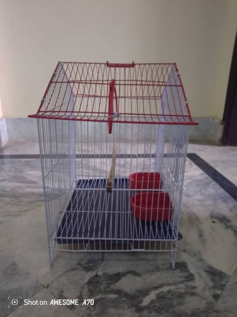 Bird cage 2