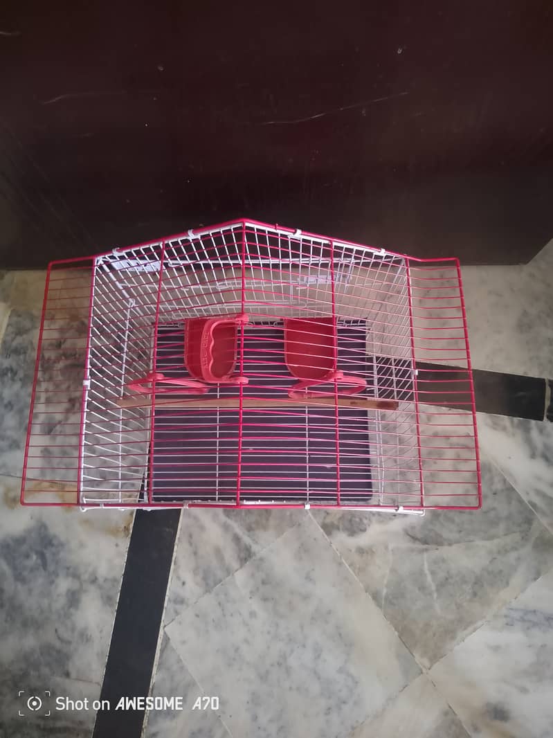 Bird cage 3