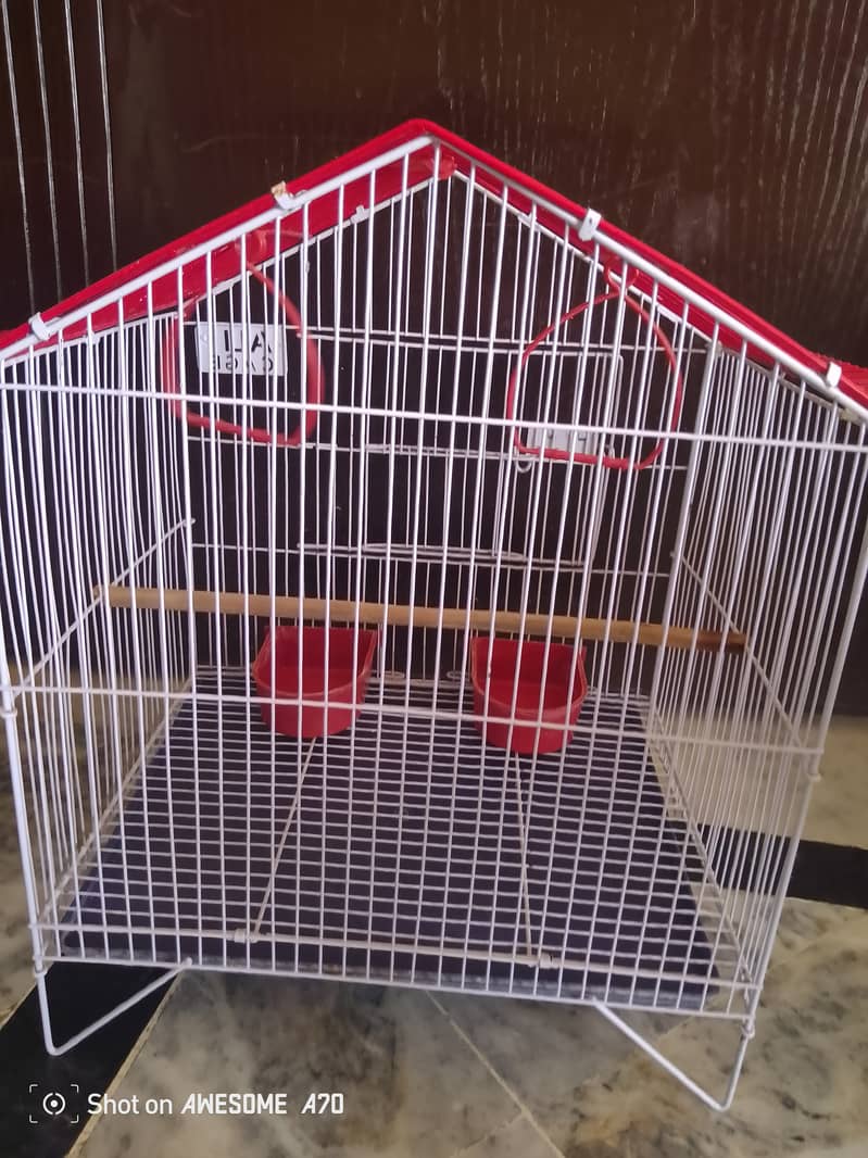 Bird cage 4