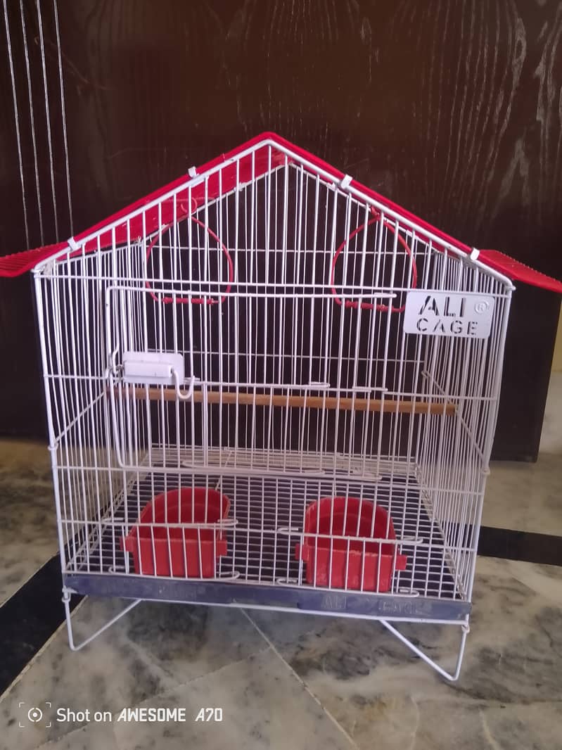 Bird cage 5