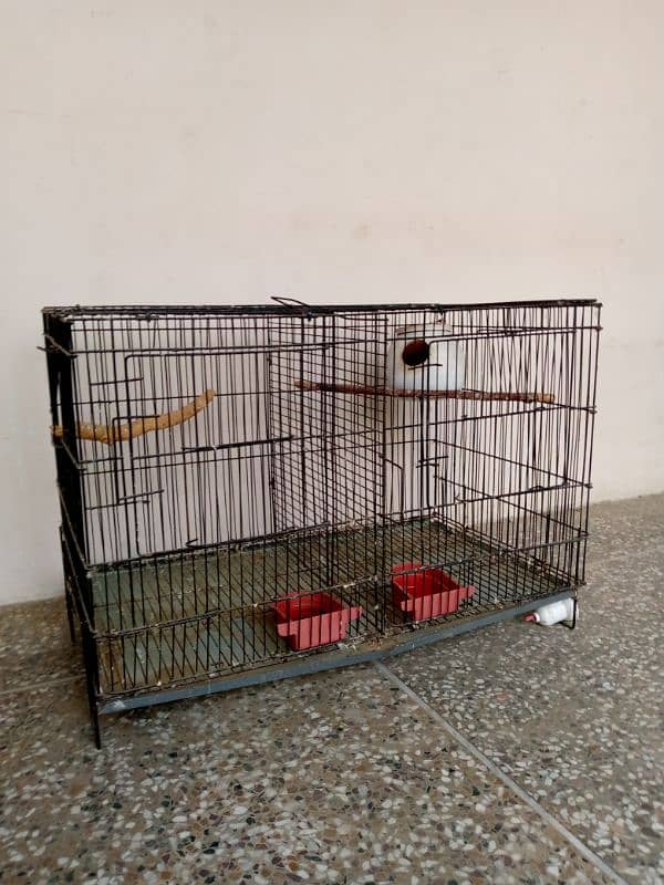 small pets and birds cages for sale 0•3•0•8•4•3•2•8•9•2•8 3