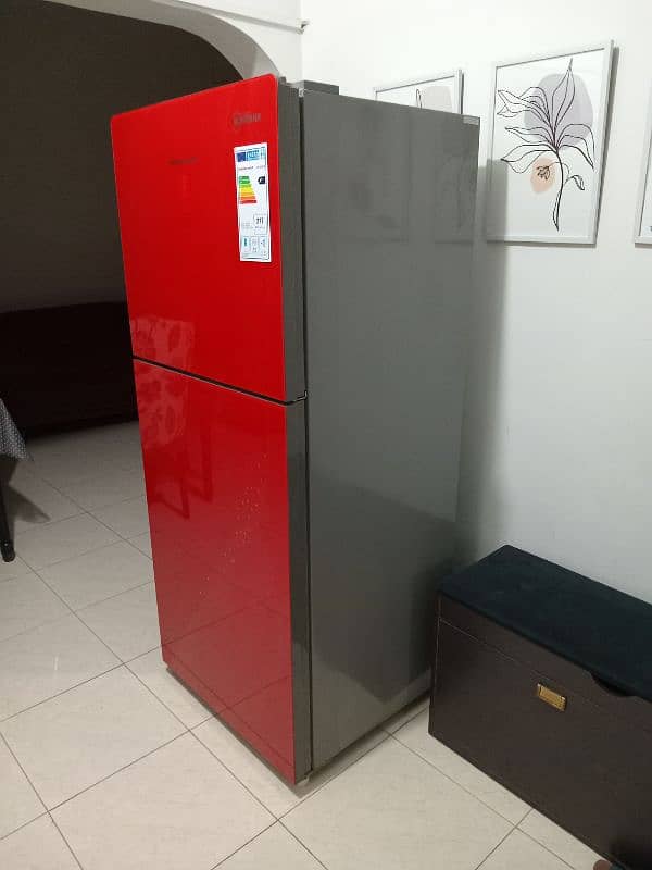 Full Sized Inverter Fridge 2