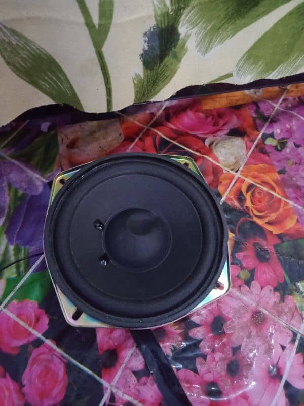 woofer speaker 1