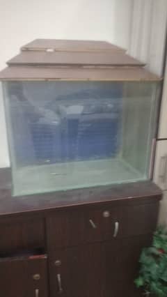 Fish aquarium