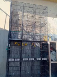 cage for sale