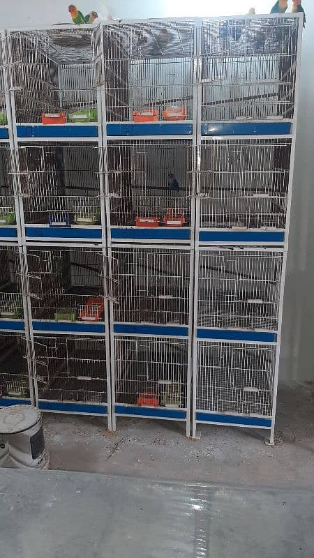 Breeding Cage and Flight Cage 1