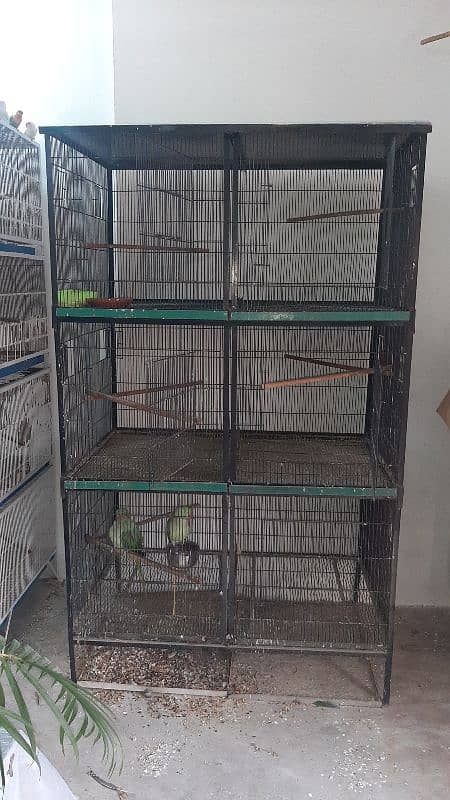 Breeding Cage and Flight Cage 2