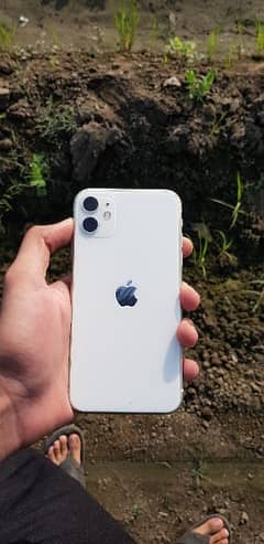 iPhone 11 Non pta