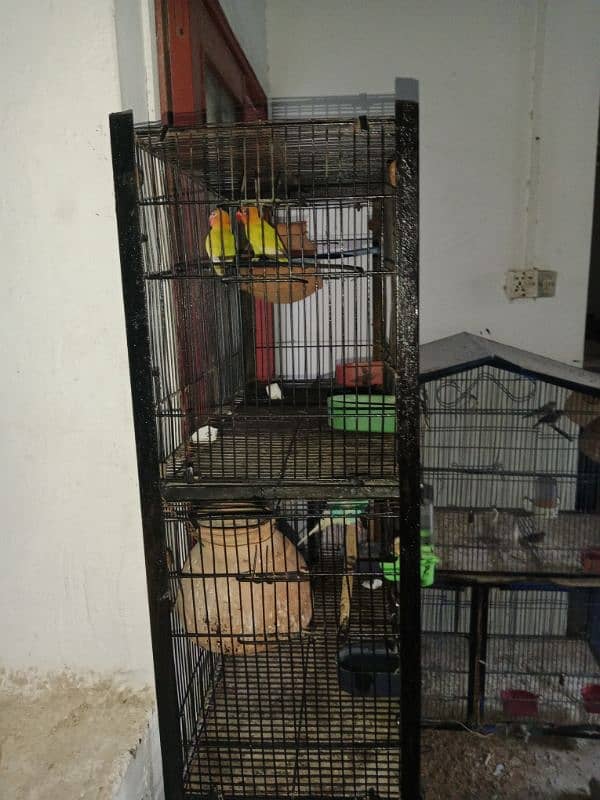 cage for sale 3