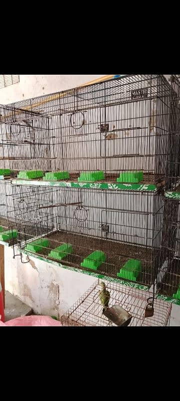 birds cage 2