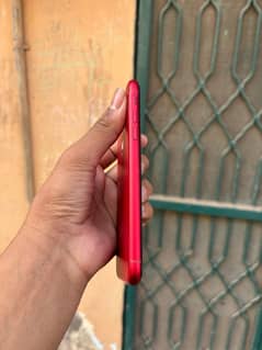 IPhone XR Dual Pta