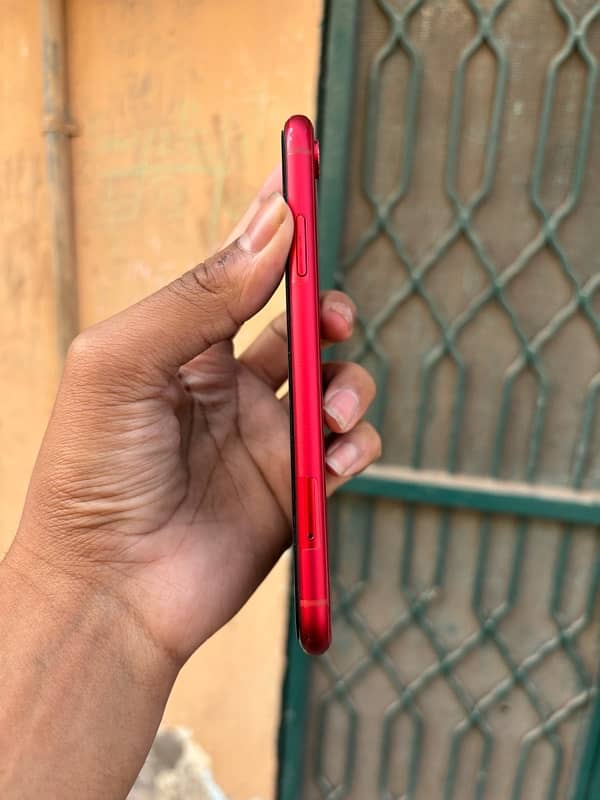 IPhone XR Dual Pta 2