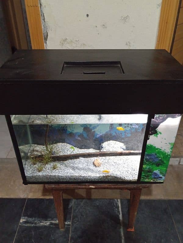 2 foot aquarium with light and filter 6