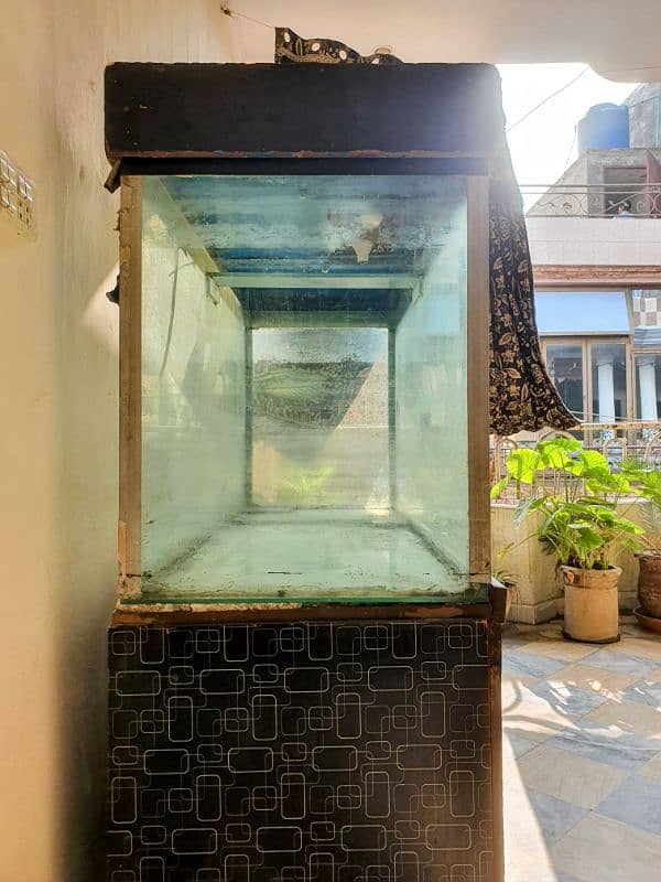 fish aquarium 2