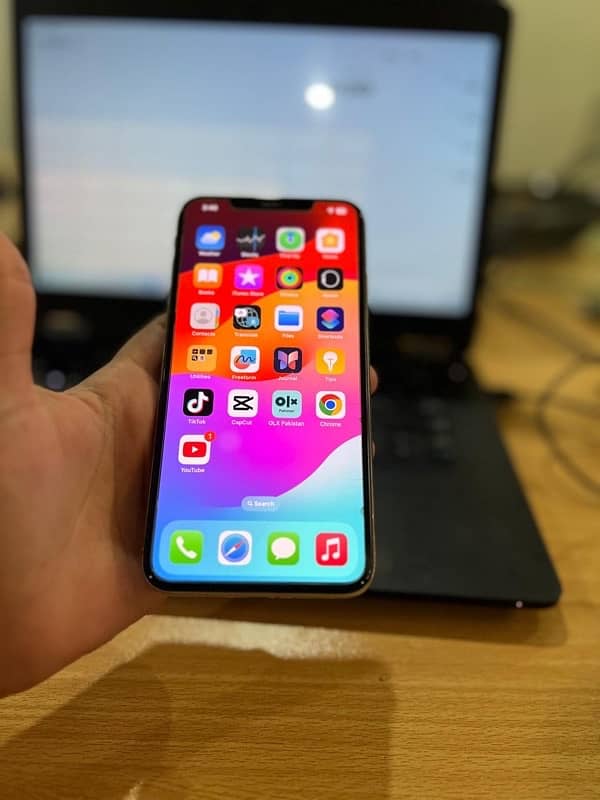 Apple iPhone XS Max 256 Gb 1