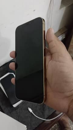 iphone 12 pro max 128GB pta approved