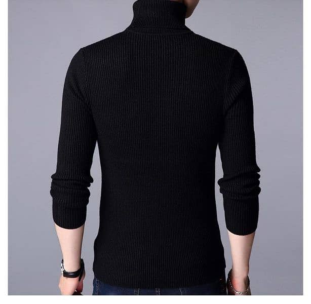 1 Pc Men Ribbed plain Highneck 3