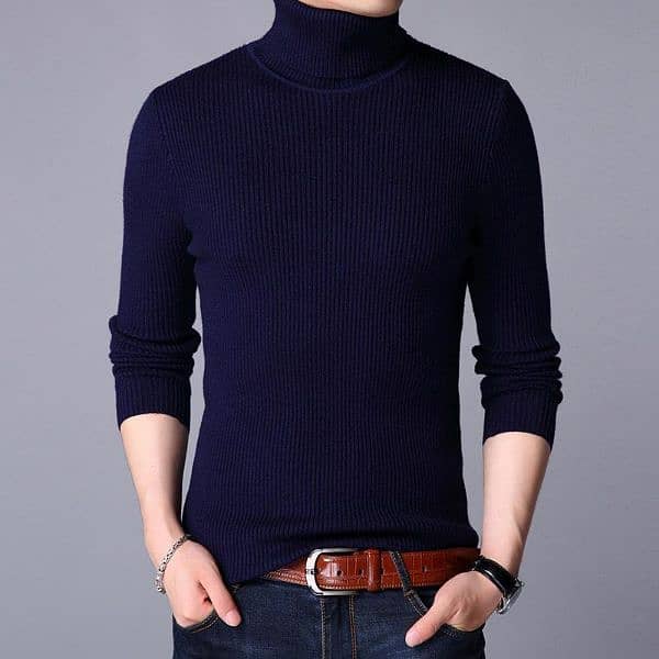 1 Pc Men Ribbed plain Highneck 4