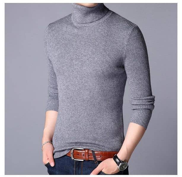 1 Pc Men Ribbed plain Highneck 8