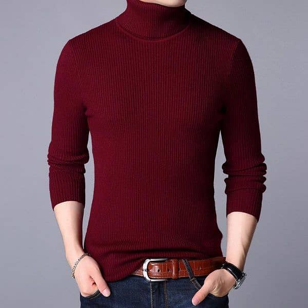 1 Pc Men Ribbed plain Highneck 10