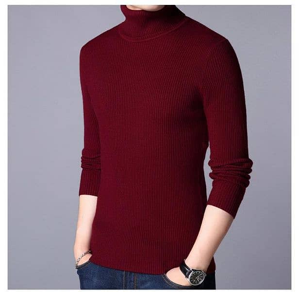 1 Pc Men Ribbed plain Highneck 11