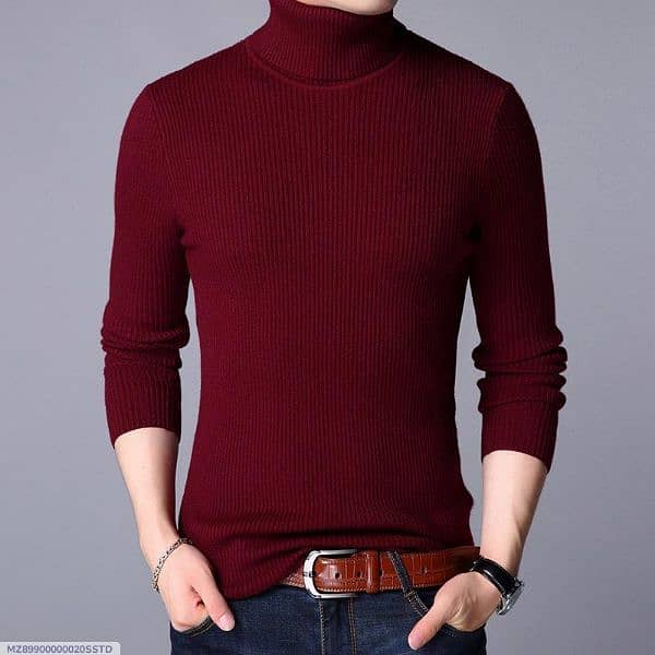 1 Pc Men Ribbed plain Highneck 12