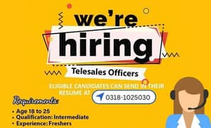 job Telesales & Sales Excutive