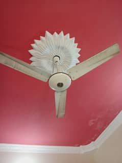 Al Hadid ceiling fan