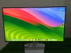 Dell Monitor