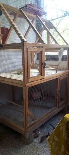 4 x Common White Cocktails with Large Wooden Cage for Sale