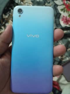 vivo