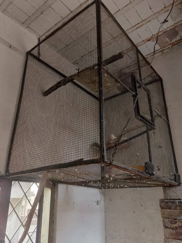 pigeon cage duck for sale 5